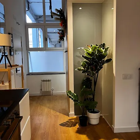 Sg Apartamentos, Silio 4b At 47-79